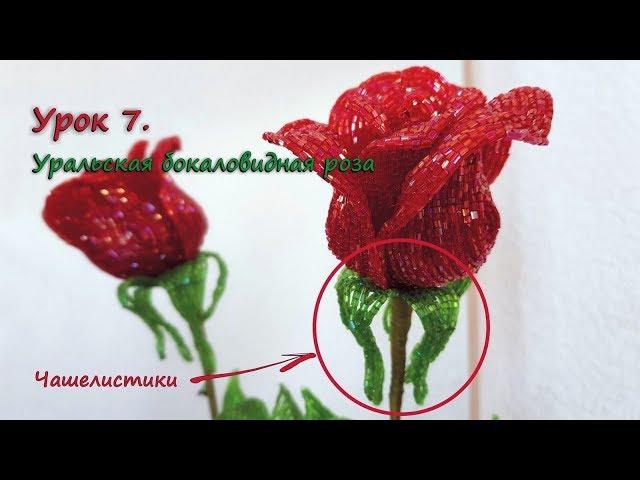 Бокаловидная роза.  Урок 7 - Чашелистики / Cup-shaped rose. Lesson 7 - Sepals