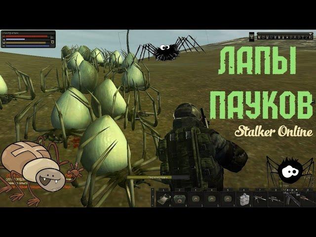 Stalker online. Лапы пауков