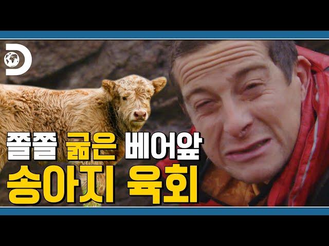 (파타)고니야 육회 한점 찔러봐라  쫄쫄 굶은 베어에게 육회 주는 라울좌 [Man VS Wild]