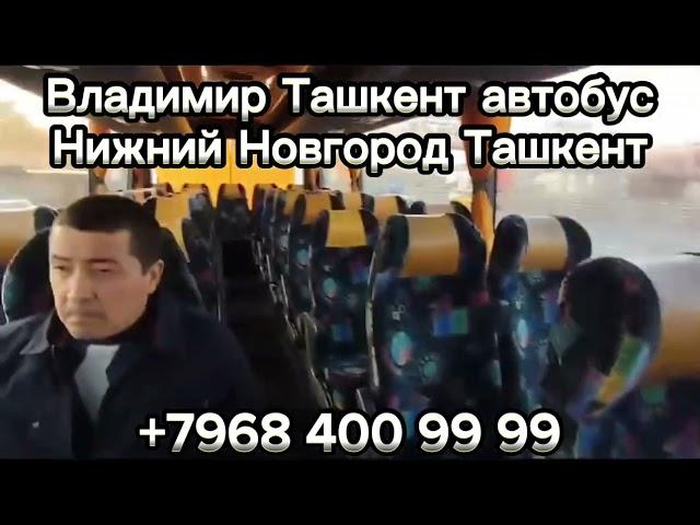 Владимир Ташкент автобус Иваново Ташкент Нижний Новгород Ташкентавтобус #автобус #владимир #иваново￼