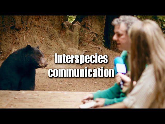 Interspecies Communication & Bears