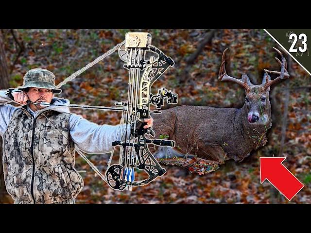 BOW HUNTING During the RUT!! (Iowa Public Land)