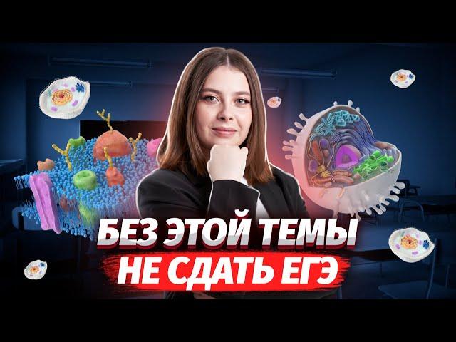 Всё о химическом строении клетки за 70 минут | Биология ЕГЭ для 10 класса | Умскул