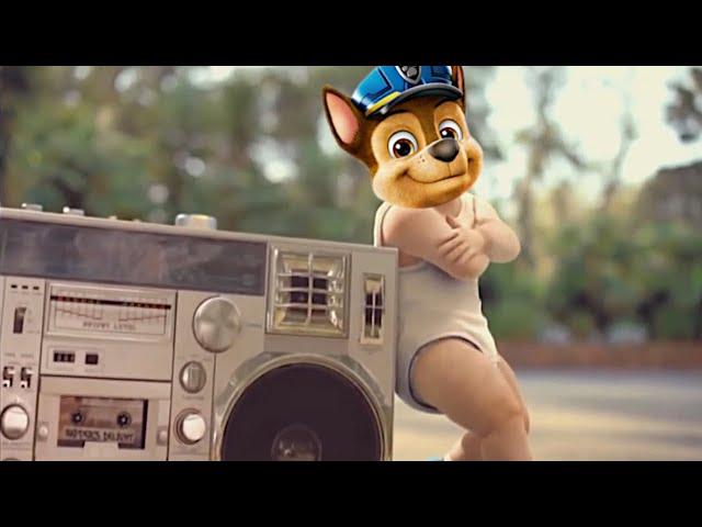 PAW Patrol: The Movie & Baby Dance - Coffin Dance Meme (Parody)