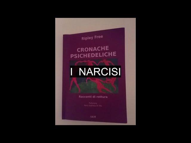 CRONACHE PSICHEDELICHE . I NARCISI 3