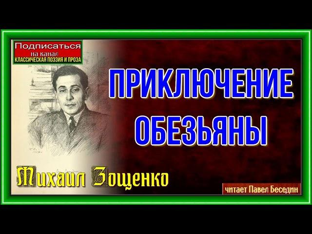 Приключение обезьяны —Михаил Зощенко — читает Павел Беседин