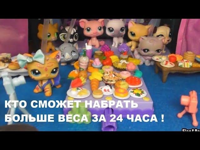 LPS: КТО СМОЖЕТ НАБРАТЬ БОЛЬШЕ ВЕСА ЗА 24 ЧАСА!