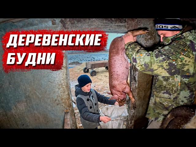 Как выжить большой семье в деревне! | Орловская обл, Колпнянский р/н д.Юрьевка