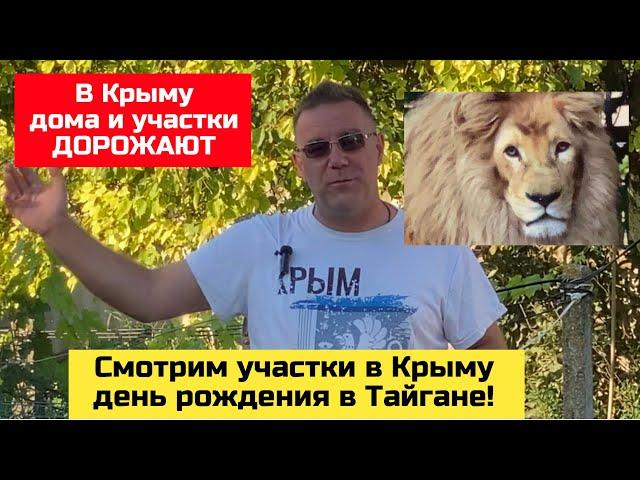Крым, ТАЙГАН, смотрим участки в Крыму с Ярославом ФРОЛОВЫМ | купить дом в КРЫМУ