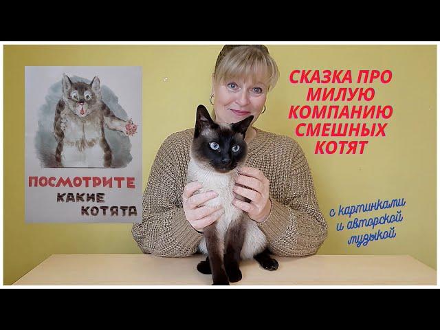 Сказки добрые.Посмотрите какие котята. Обучающая аудиосказка с картинками и авторской музыкой.