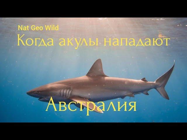 Nat Geo Wild. Когда акулы нападают. Австралия.
