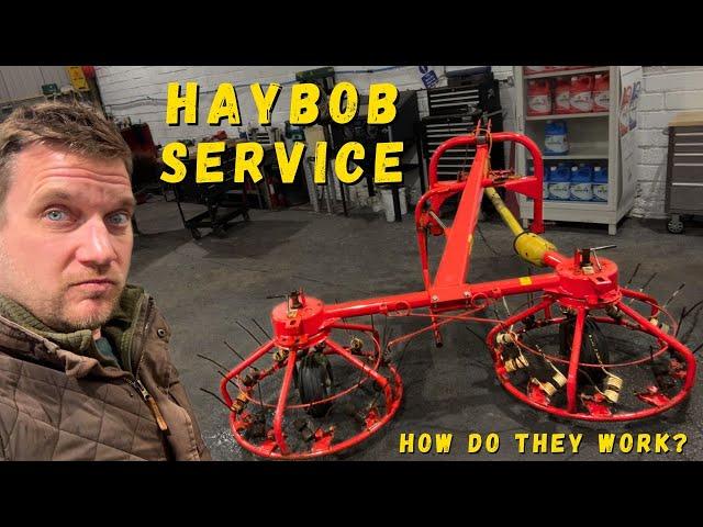 Servicing a 300 series Vicon HAYBOB! Why Do People Even Buy Them?