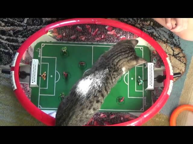 Lisavetta And Soccer