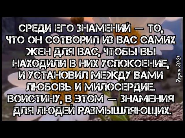 Предлагаю Тебе рецепт счастья от пророка Мухаммада (Да благословит его Аллах и приветствует) #Аллах