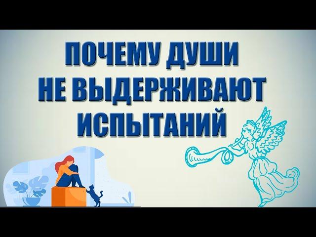 ПОЧЕМУ ДУШИ НЕ ВЫДЕРЖИВАЮТ ИСПЫТАНИЙ? СЕКЛИТОВА Л.А. СТРЕЛЬНИКОВА Л.Л. КНИГА "ОТКРОВЕНИЯ КОСМОСА"