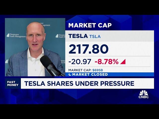 Tesla's stock lower on Cybercab timing and no affordable model update, says Deepwater's Gene Munster