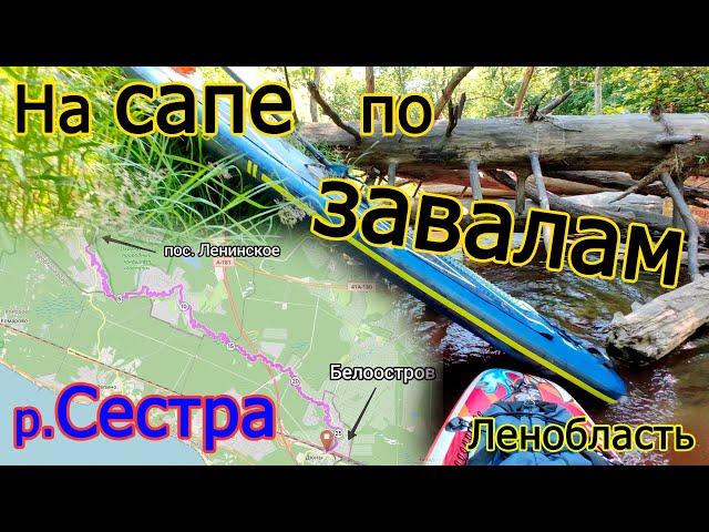 Сплав на сапборде(SUP) 26км. по заваленной р. Сестре (Пос. Ленинское- Белоостров)