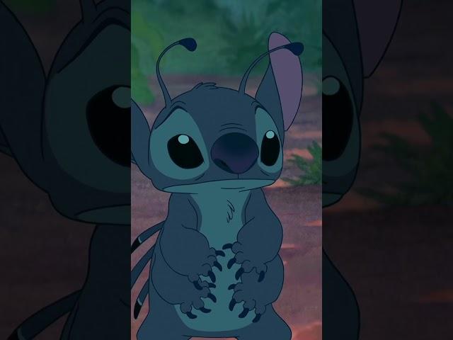 Lilo and Stitch Get Captured!  | Lilo and Stitch | Disney Kids