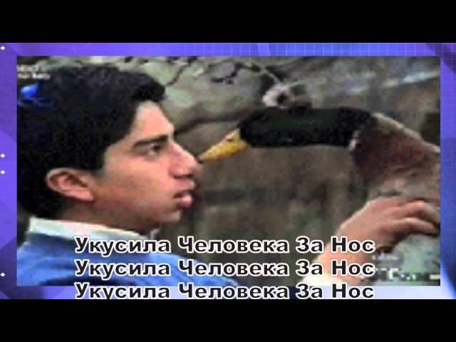 Укусила (ущипнула) Человека За Нос)))