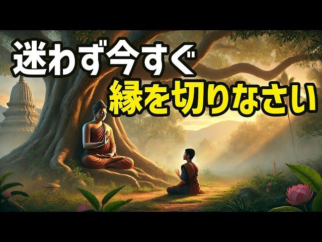 こんな人とは迷わず今すぐ縁を切りなさい【ブッダの道しるべ】＃ブッダ＃仏陀＃変わりたい＃幸せ＃マインドフルネス