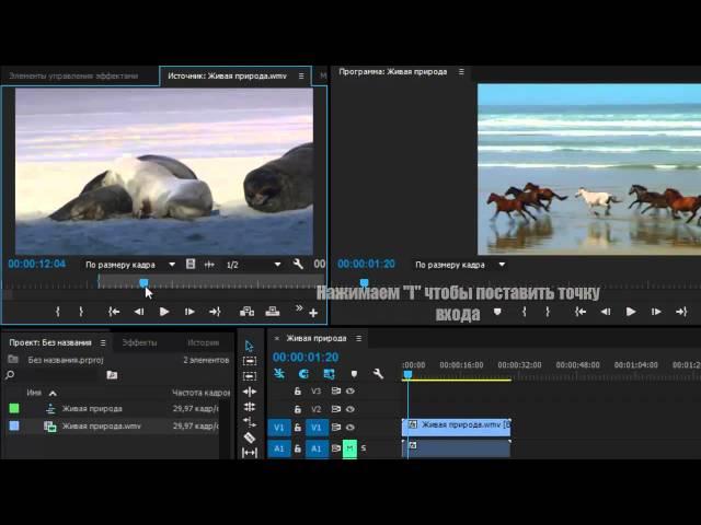 Как совместить несколько видео в одном кадре (Adobe Premiere Pro CC)