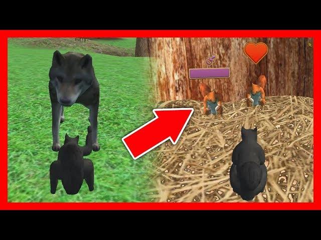 СИМУЛЯТОР БЕЛКИ #10 ОХОТИТСЯ ВОЛК и РОДИЛСЯ РЕБЕНОЧЕК в Squirrel Simulator