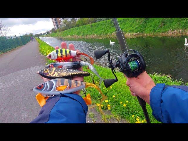 Urban canal jerkbait fishing for pike!