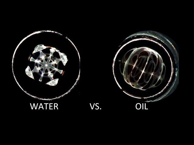 Cymatic - Water Versus Oil