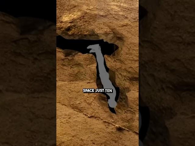 Lost in Nutty Putty cave: The Last Moments of his Life  #tragedy #viral