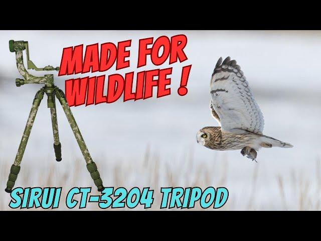 A Tripod and Gimbal Made for Wildlife Photography.....Sirui Explorer Series Carbon Fiber Tripod!