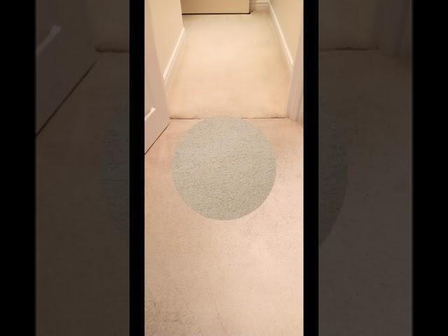 Carpet & Upholstery Cleaners in Shadwell, Leeds, West Yorkshire, Uk