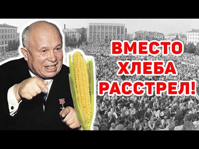 Как советская власть довела людей до голода и за это их РАССТРЕЛЯЛА! Новочеркасский расстрел.