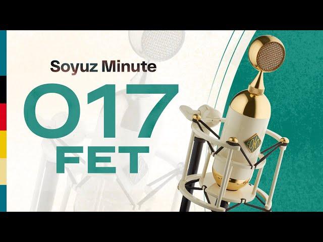 Soyuz Minute: 017 FET Large Diaphragm Condenser Microphone