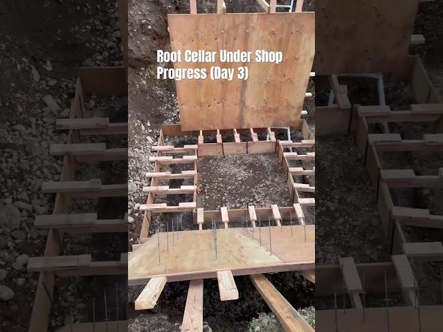 Root Cellar Under a Shop Progress #shorts #rootcellar #bunker #prepper #greenthumb #gardening #food