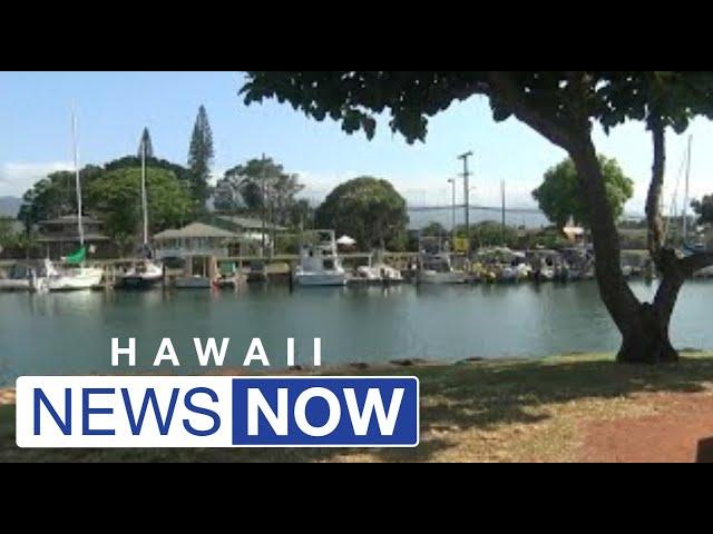 Woman seriously injured in apparent shark bite off Oahu