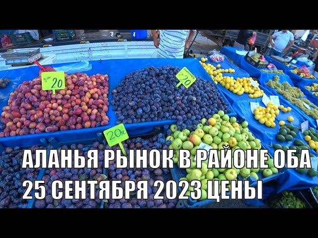 РЫНОК В ОБА АЛАНЬЯ ЦЕНЫ НА ФРУКТЫ 25 СЕНТЯБРЯ 2023 ТУРЕЦКИЙ БАЗАР