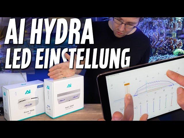 Unsere LED-Beleuchtung im MEERWASSERAQUARIUM + Richtige Einstellung AI Prime & Hydra - PlanktonPlus