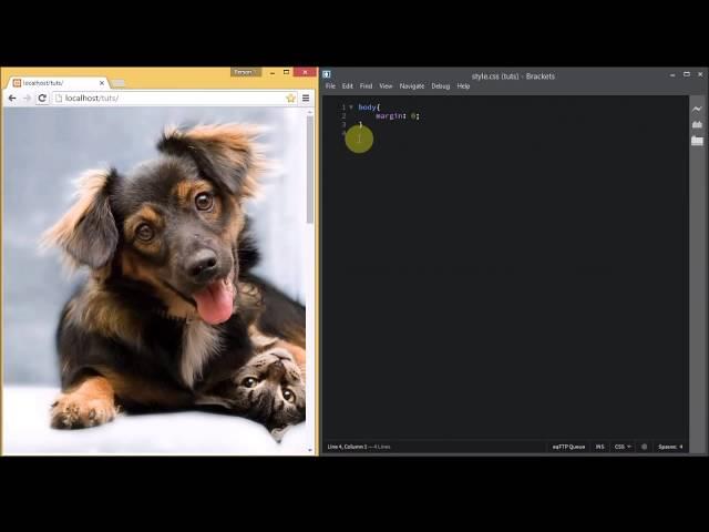 Parallax using CSS - TheMindSpeaks