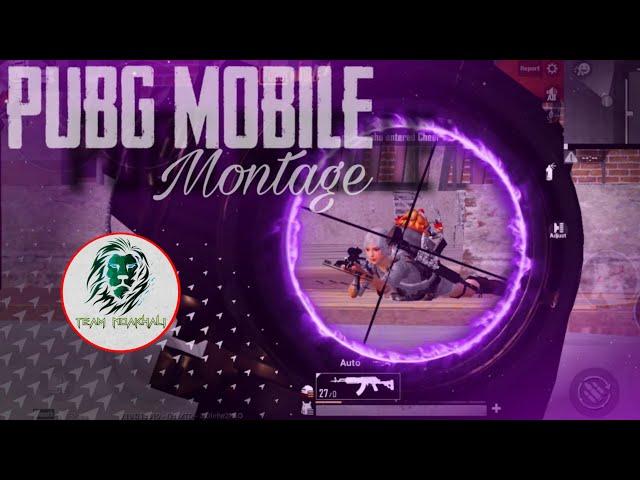 PUBG MOBILE ||  MONTAGE || TEAM NOAKHALI || 2021