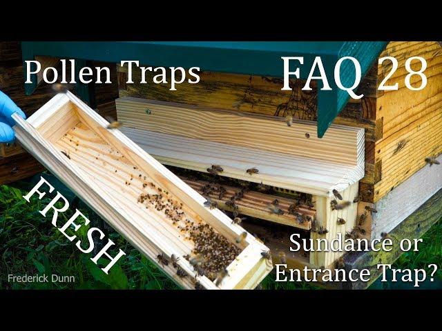 Pollen Traps for Beehives FAQ 28 What Trap is best for Pollen Collection, Super Food? Bee Stock