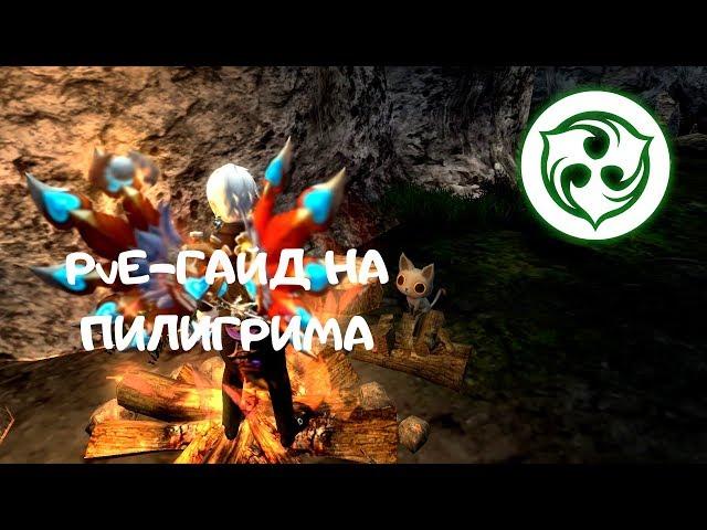 Гайд на Пилигрима | New Dragon Nest