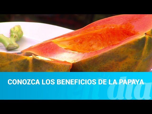 Conozca los beneficios de la papaya