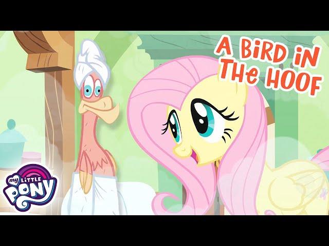 My Little Pony: Friendship is Magic | A Bird in the Hoof | S1 EP22 | MLP Full Episode