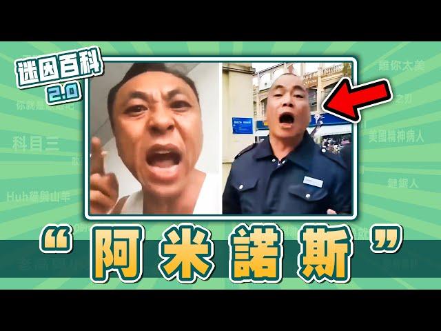 最有素質的一集！“阿米諾斯”是什麽迷因？【迷因百科】#阿米諾斯 #孫笑川 #電棍otto #原神 #放火 #錫蘭 #英雄聯盟 #阿米諾斯物業 #黑手哥 #抽象 #meme #迷因 #梗