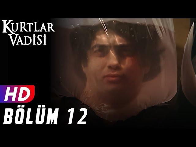 Kurtlar Vadisi - 12.Bölüm | FULL HD YENİ