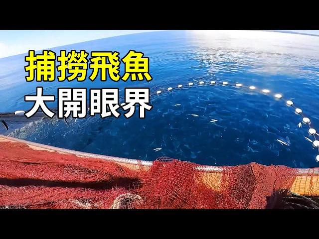 飛魚的一生有多離譜？ 愛真的需要勇氣