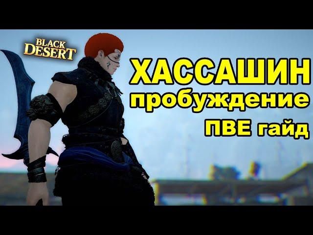 BDO ХАССАШИН ПРОБУЖДЕНИЕ (Hashashin) PVE гайд. Black Desert (MMORPG)