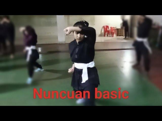 nuncuan basic/Wushu