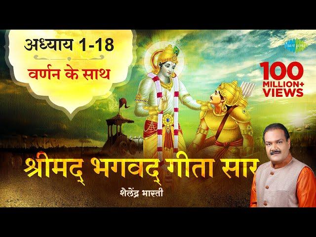 श्रीमद भगवद गीता सार | संपूर्ण गीता | Bhagawad Geeta- All Chapters With Narration| Shailendra Bharti