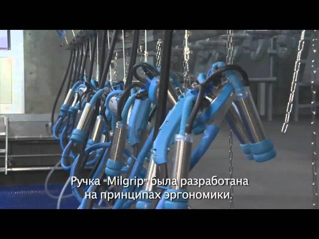 Доильный зал ПАРАЛЛЕЛЬ от Milkline - Ваша корова достойна лучшего!